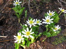 photo thumbnail #9