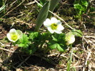 photo thumbnail #13