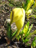 photo thumbnail #14
