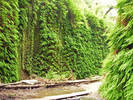 photo thumbnail #12
