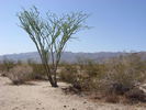 photo thumbnail #15