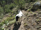 photo thumbnail #1