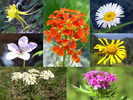 photo thumbnail #14