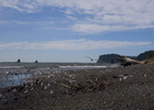 photo thumbnail #13