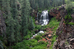photo thumbnail #11