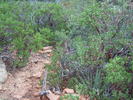 photo thumbnail #7