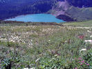 photo thumbnail #15