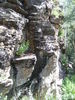 photo thumbnail #12