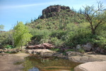photo thumbnail #14