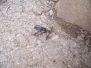 photo thumbnail #11