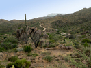 photo thumbnail #2
