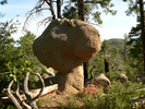 photo thumbnail #12