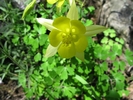 photo thumbnail #8