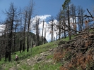 photo thumbnail #11