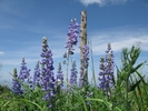 photo thumbnail #14