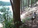 photo thumbnail #5