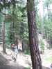 photo thumbnail #6
