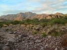 photo thumbnail #4