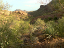 photo thumbnail #6