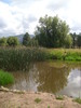 photo thumbnail #11
