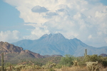 photo thumbnail #1