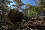 photo thumbnail #8