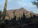 photo thumbnail #7