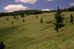 photo thumbnail #11