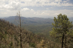 photo thumbnail #6