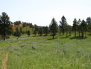 photo thumbnail #12
