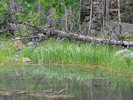 photo thumbnail #12