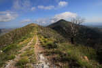 photo thumbnail #7