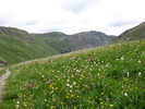 photo thumbnail #9