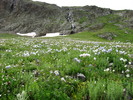 photo thumbnail #14