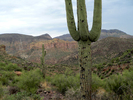 photo thumbnail #6