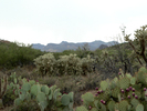photo thumbnail #13