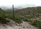 photo thumbnail #14