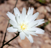 photo thumbnail #15