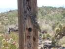 photo thumbnail #4
