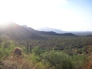 photo thumbnail #10