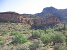 photo thumbnail #2
