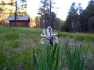 photo thumbnail #14