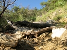 photo thumbnail #1