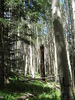 photo thumbnail #11