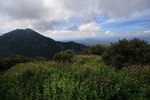 photo thumbnail #11