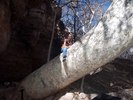 photo thumbnail #15