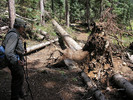 photo thumbnail #9