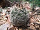 photo thumbnail #3