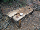 photo thumbnail #7