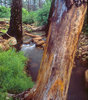 photo thumbnail #2
